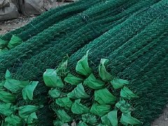 一.篩.濾網(wǎng)系列，乙烯網(wǎng)